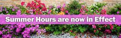 summer hours are in effect